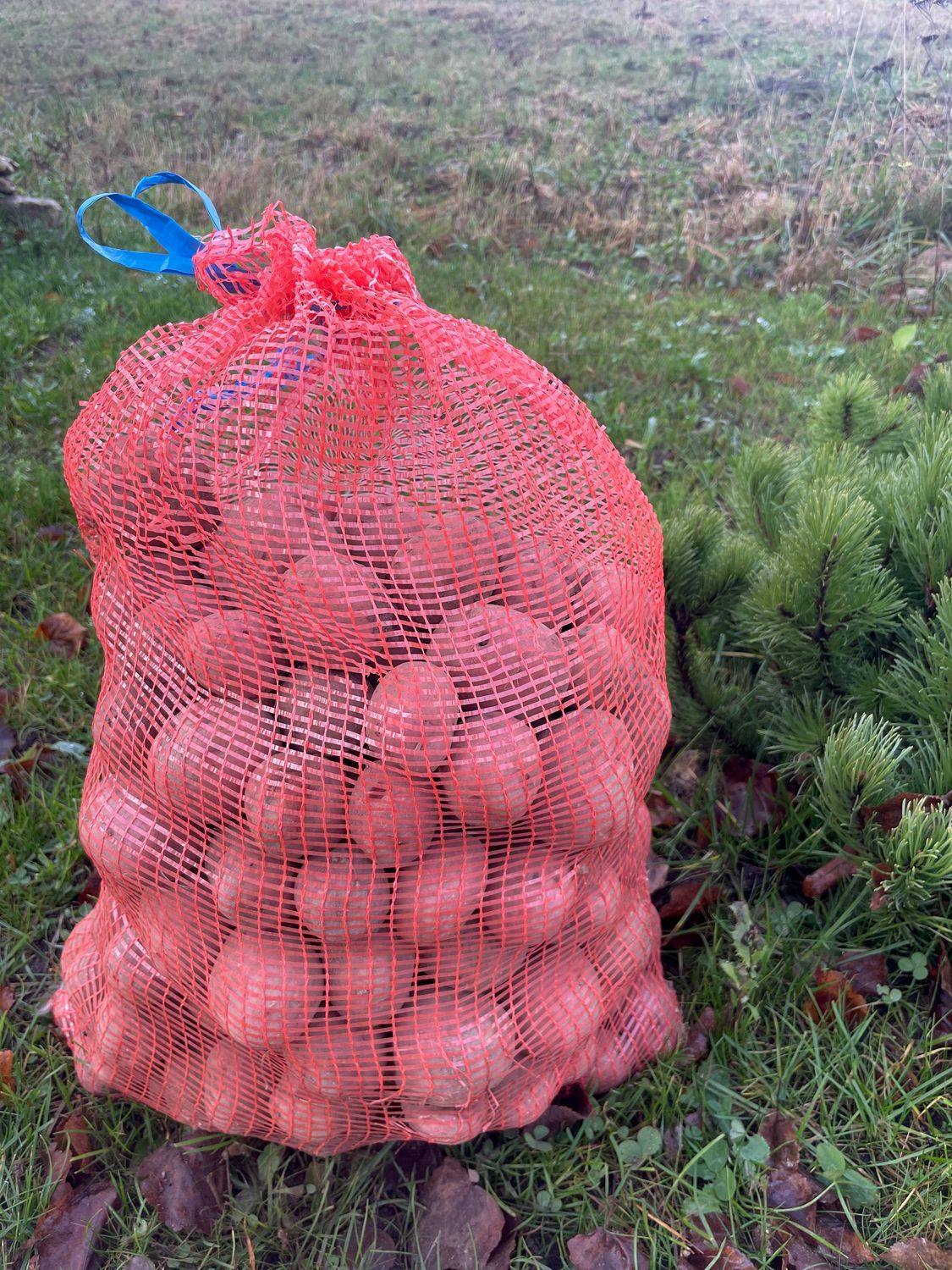 Keedukartul &#39;Maret&#39;