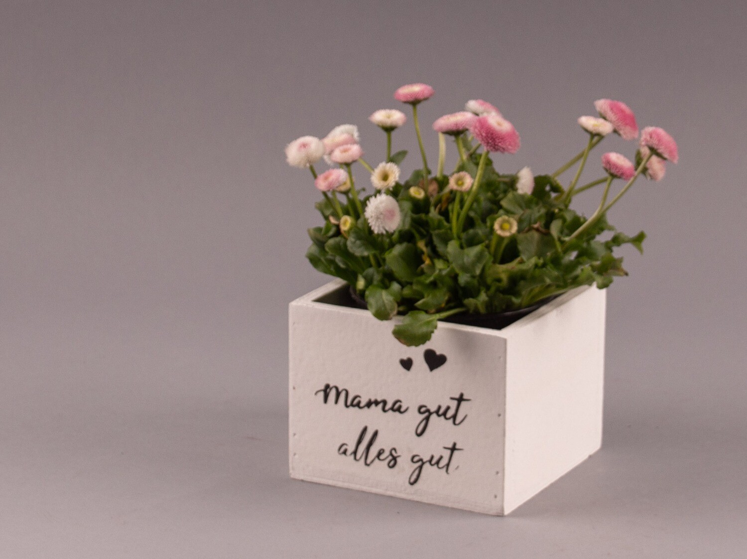 Blumenkistchen "Mama gut - alles gut"