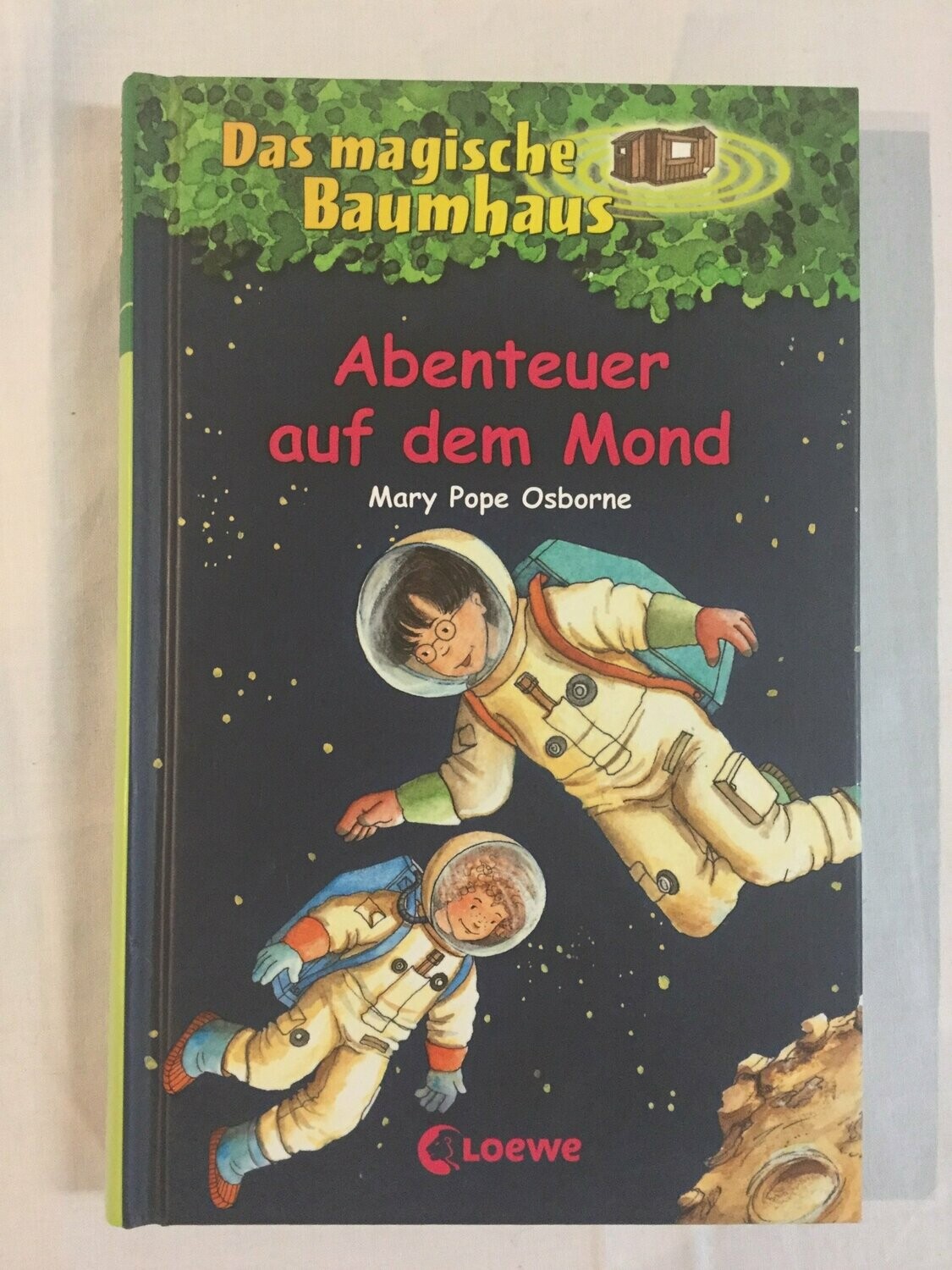 Das magische Baumhaus Band 8