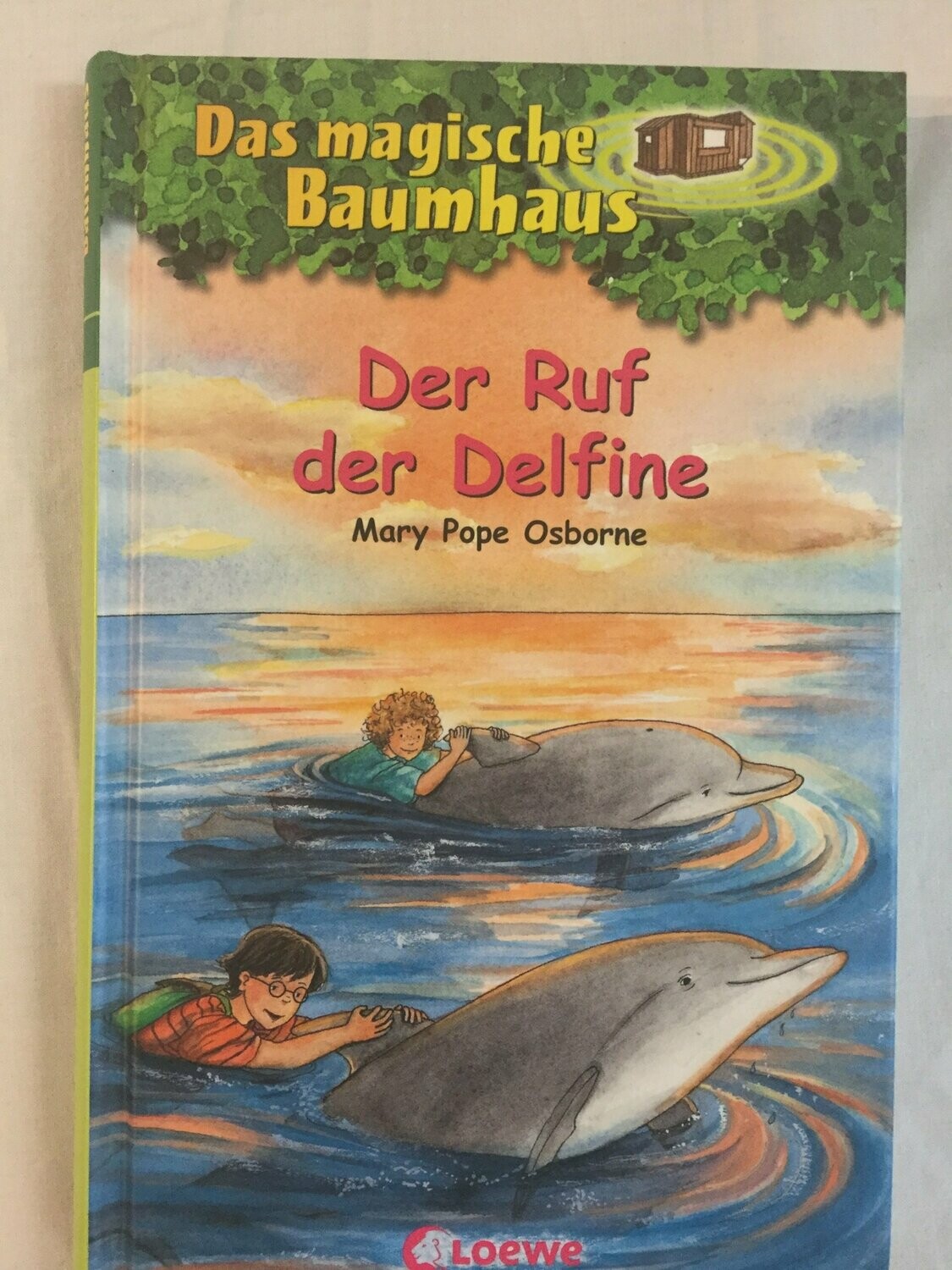 Das magische Baumhaus Band 9
