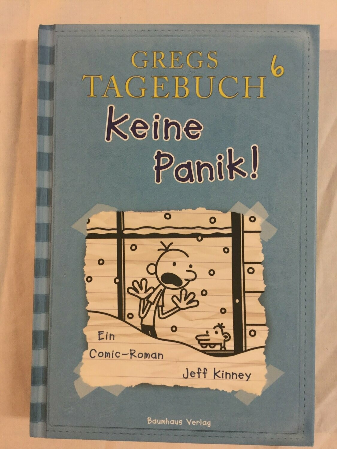 Gregs Tagebuch Band 6