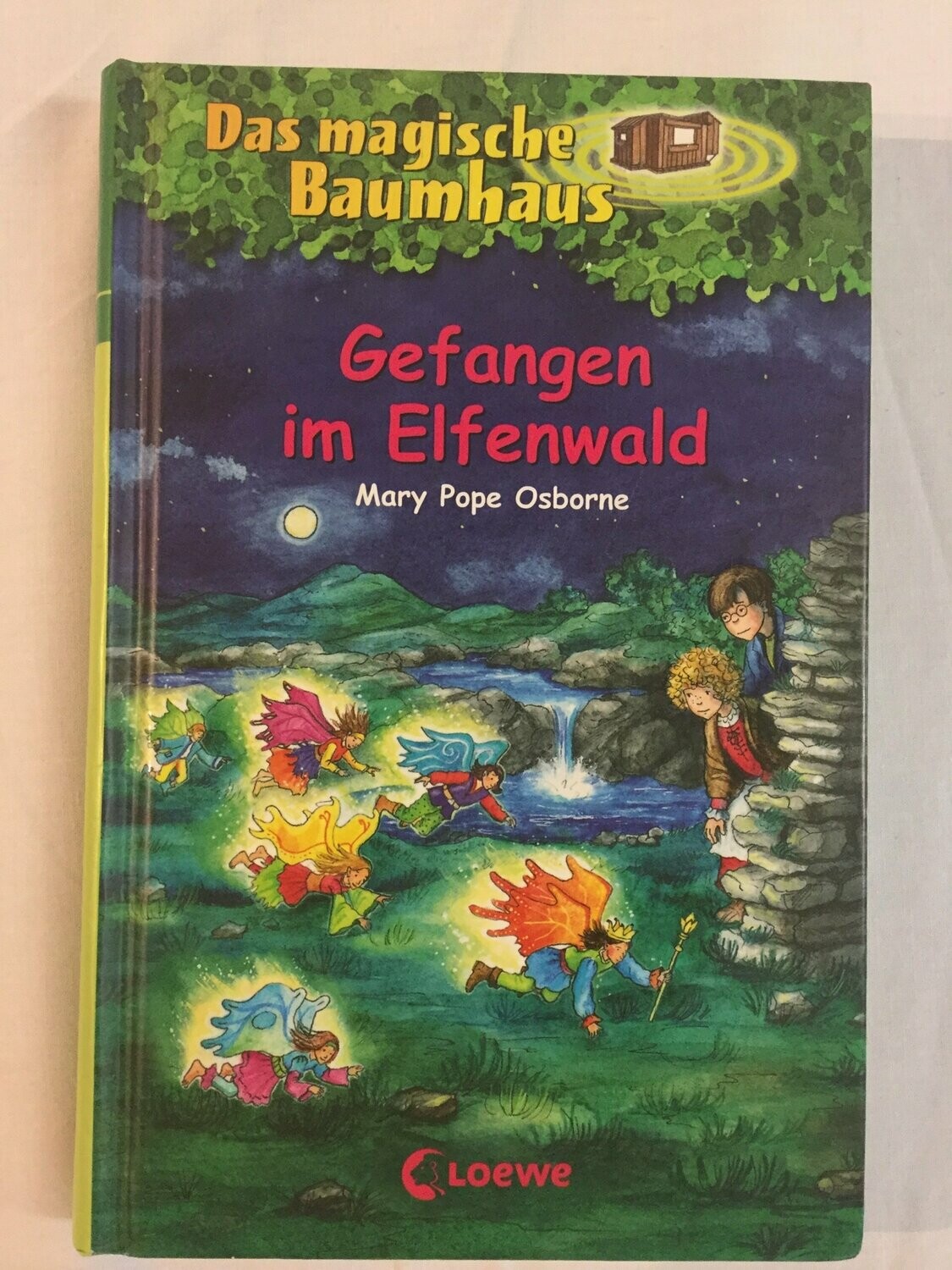 Das magische Baumhaus Band 41