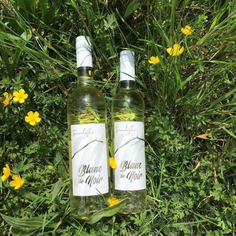 Sunnehöfler Blanc de Noir (50cl, 75cl) - Weisswein