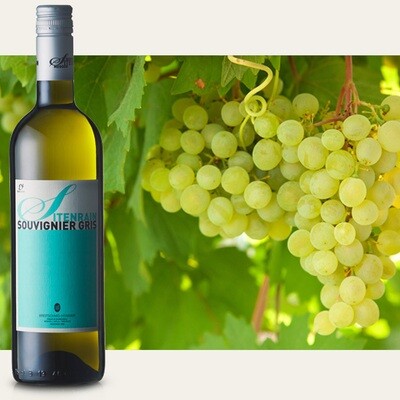 BIO Souvignier Gris (Sitenrain, 75 cl) - Weisswein