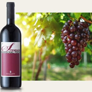 BIO Maréchal Foch (Sitenrain, 75 cl) - Rotwein