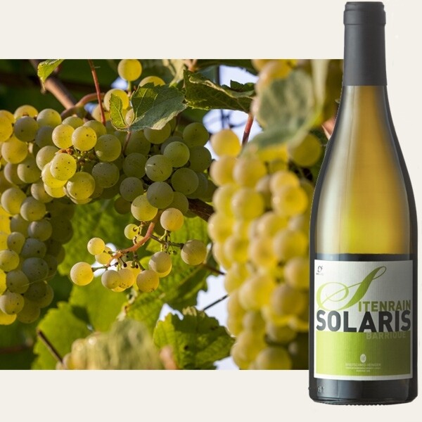 BIO Solaris Barrique (Sitenrain, 75 cl) - Weisswein