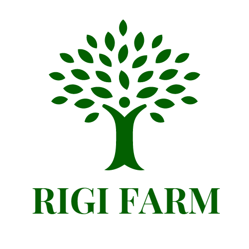 Rigi-Farm