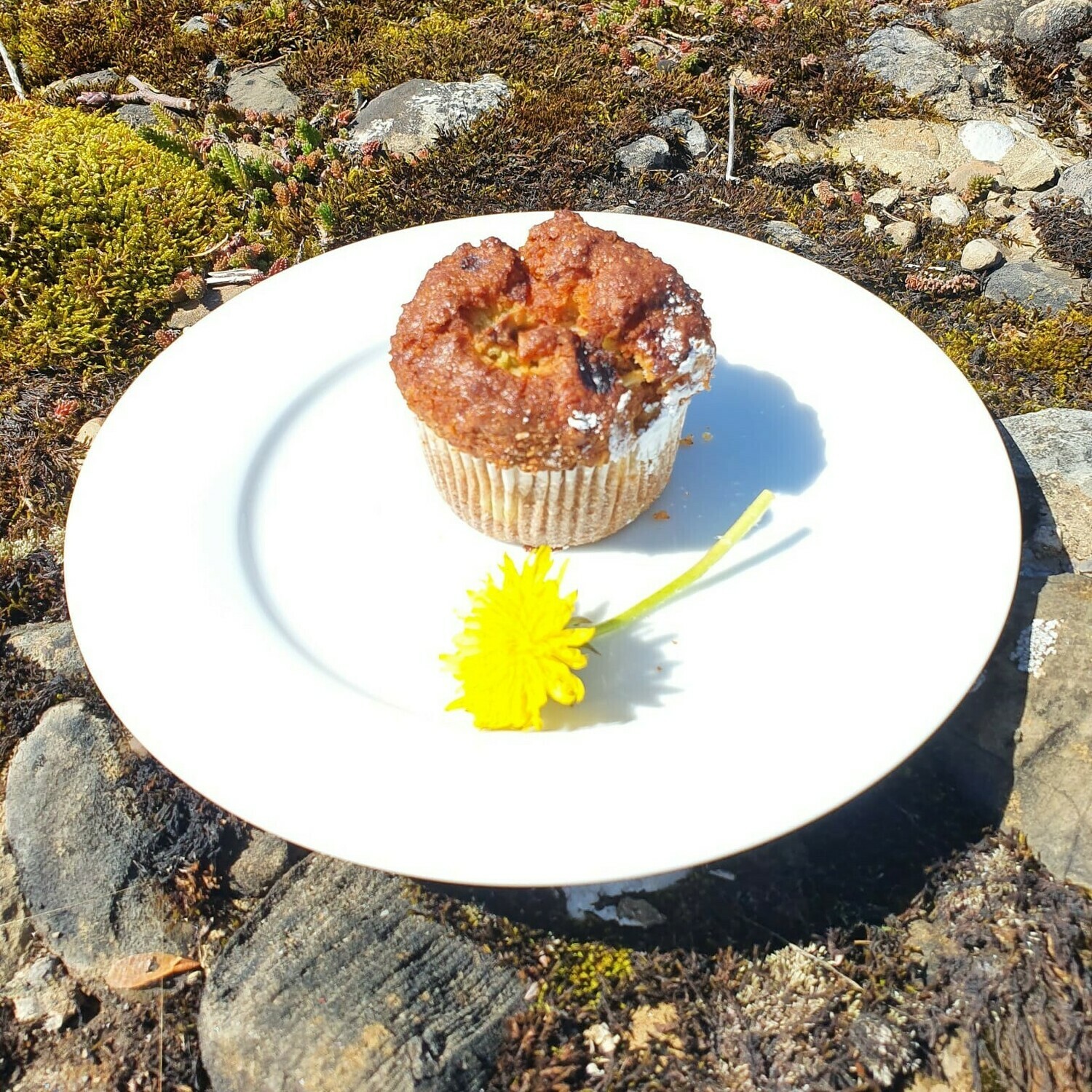 Muffin Surprise gluten und laktosefrei WIRD NICHT MEHR PRODUZIERT !! von Naschwerk