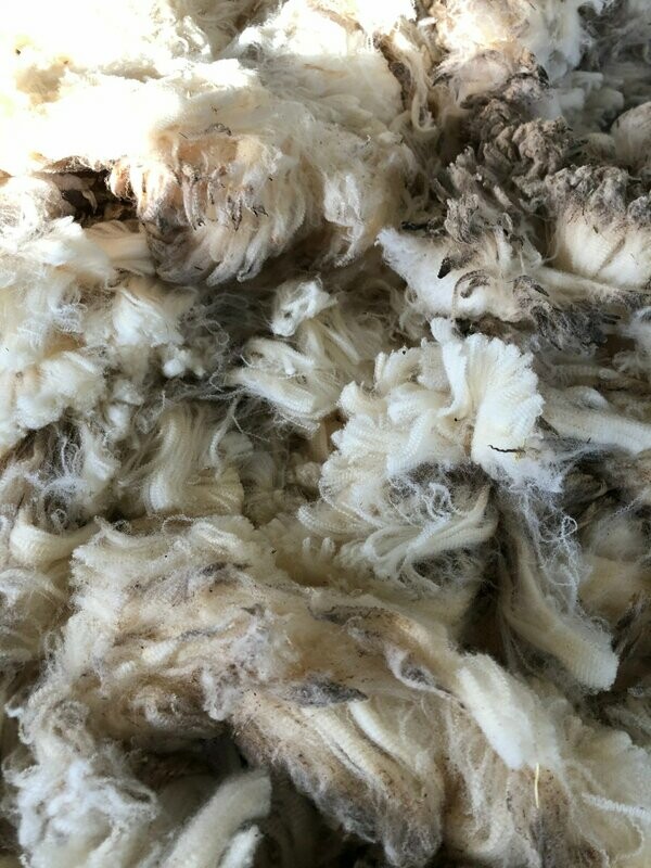White Merino fleece     1 lb
