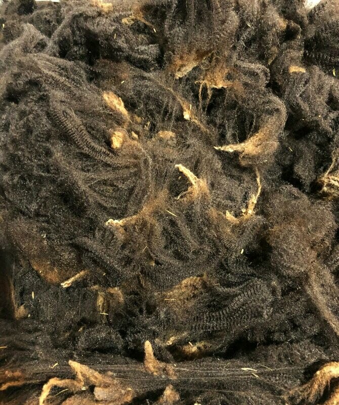 Brown Merino fleece     1 lb