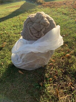 Lovely natural taupe Merino top 2 pounds 4 ounces