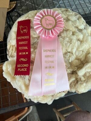 Reserve Champion/2nd Place Shepherds Harvest white covered fleece 5 lbs 10 oz