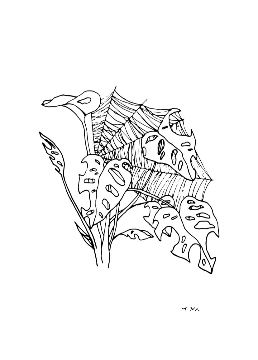 Swiss Cheese Web Swiss Cheese Web