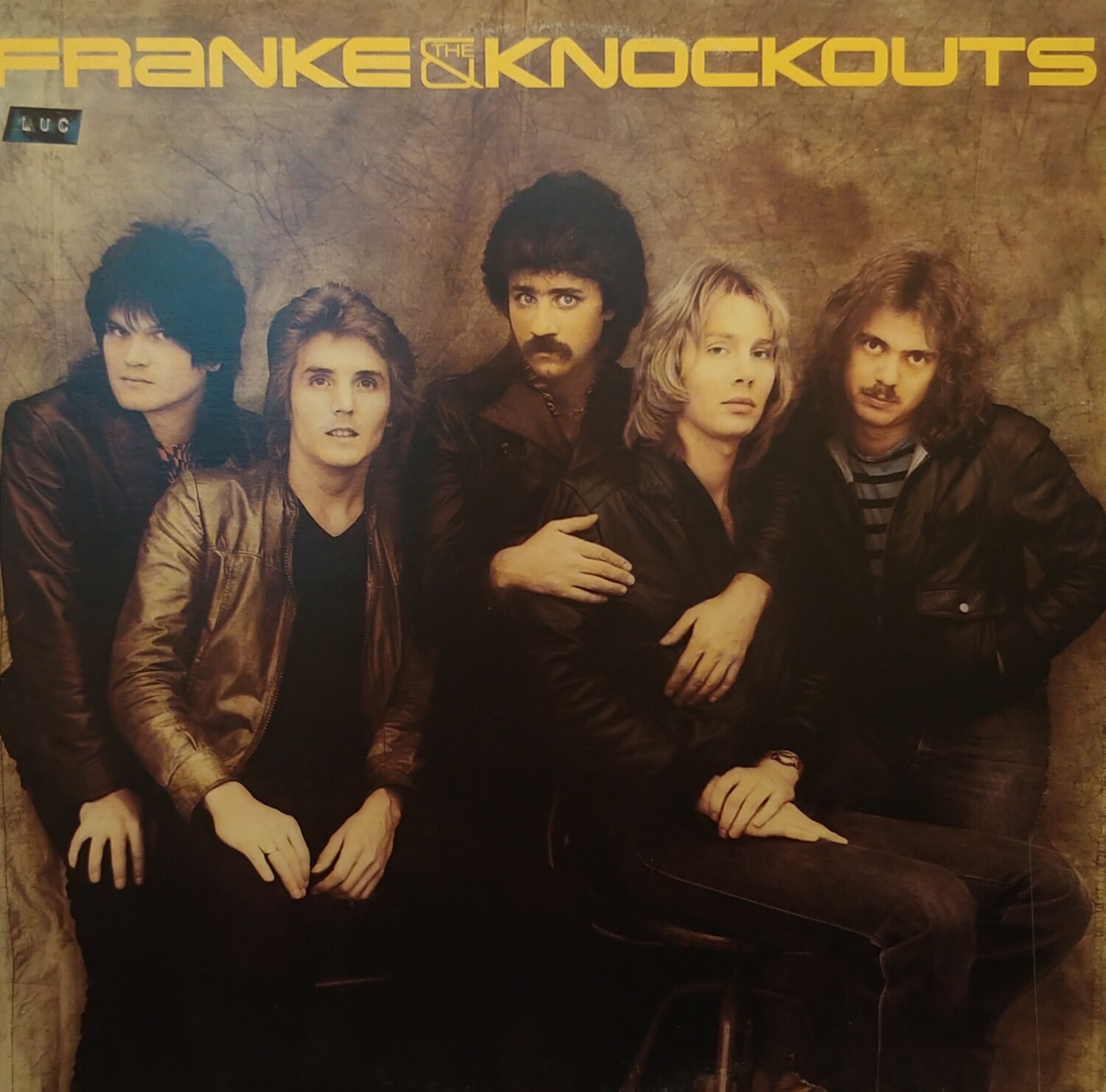 Franke and The Knockouts