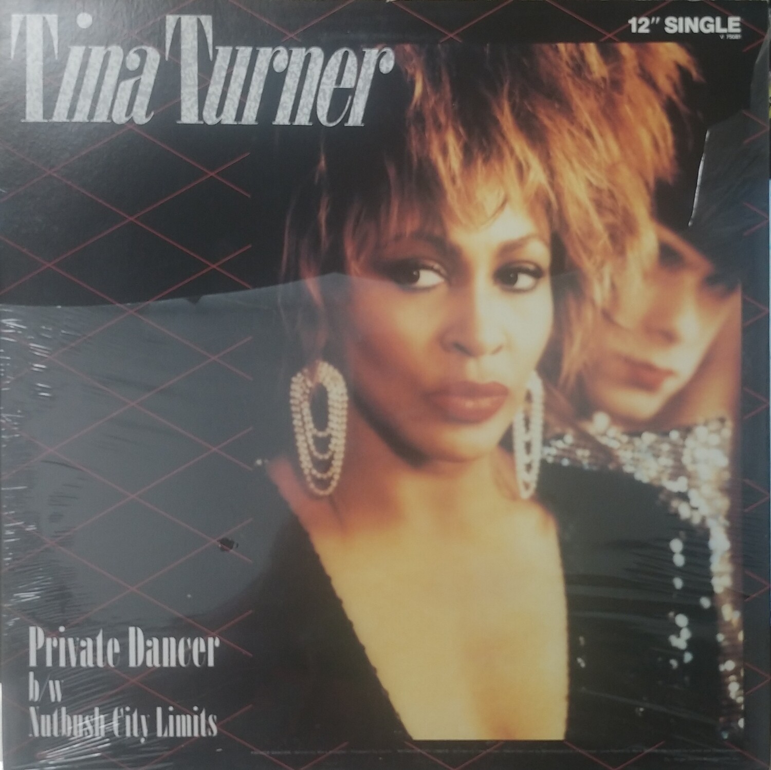 Tina Turner - Private Dancer (MAXI)