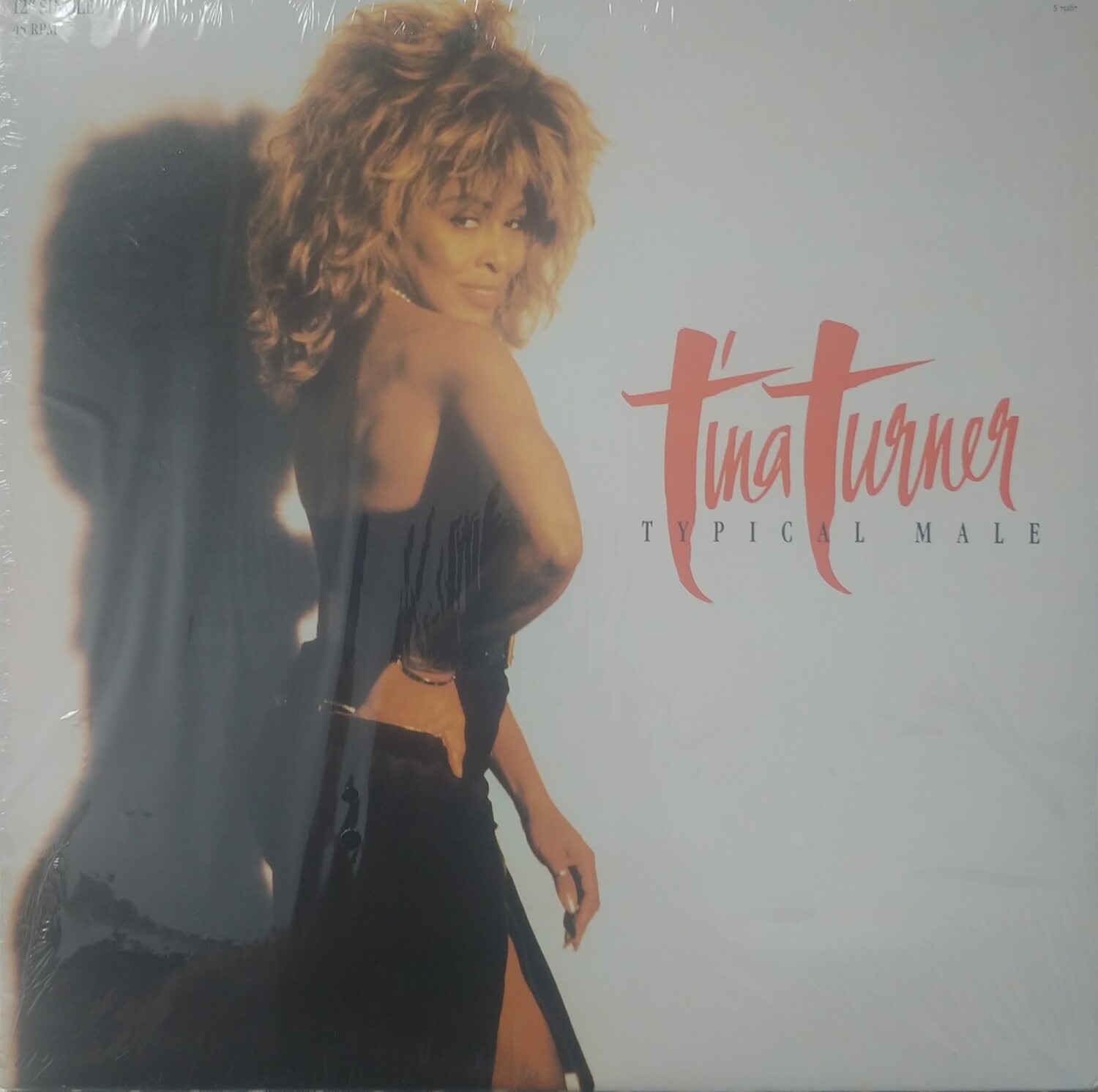 Tina Turner - Typical Male (Maxi)