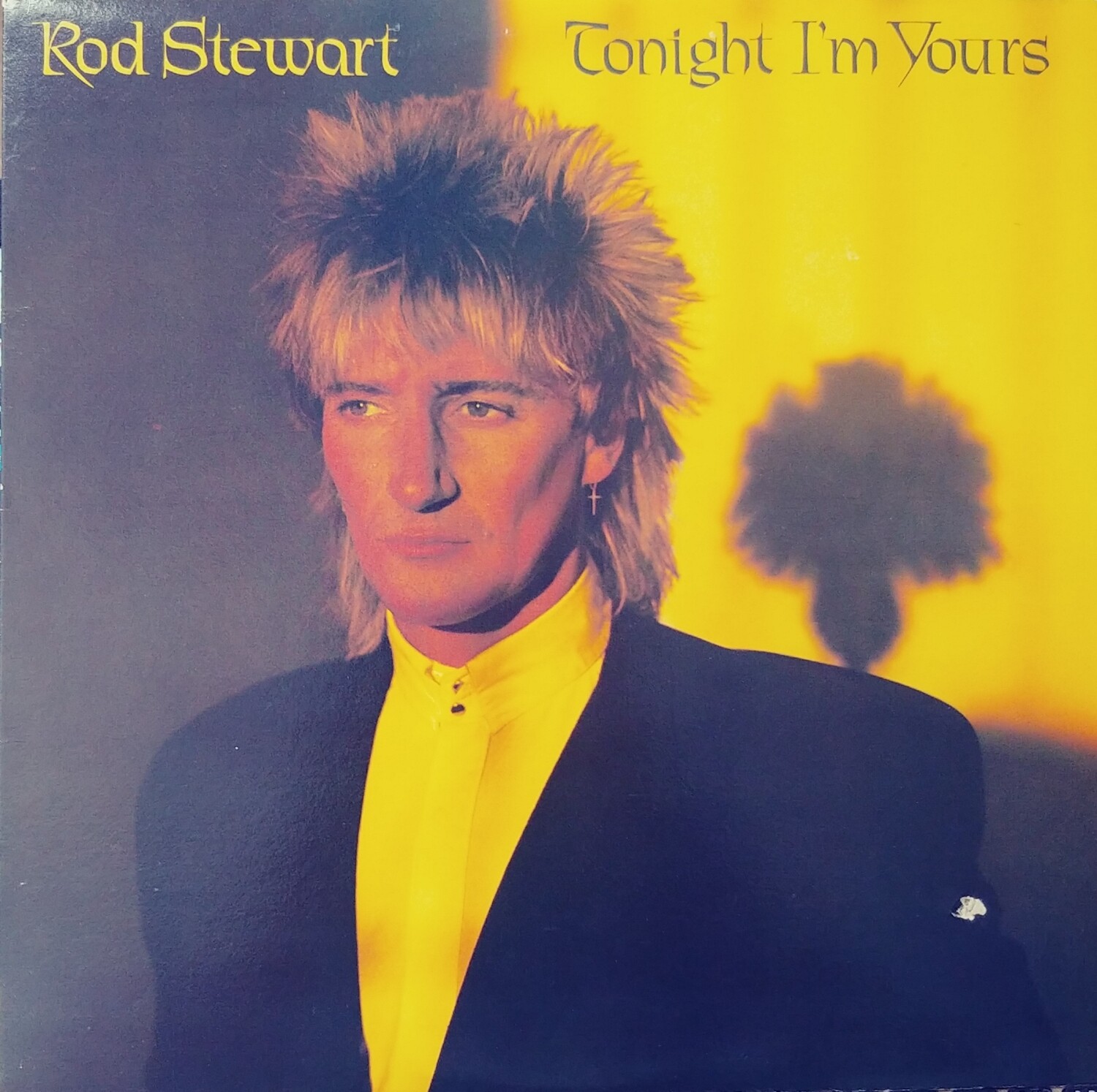 Rod Stewart - Tonight i'm yours