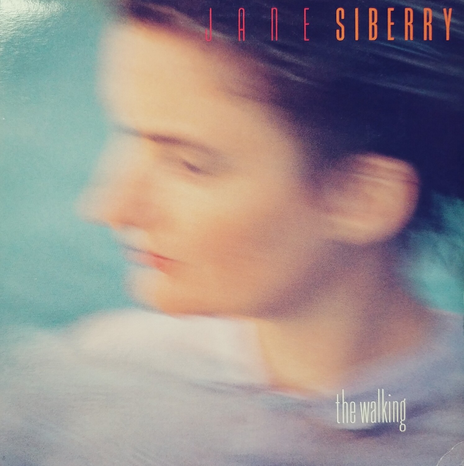 Jane Siberry - The walking