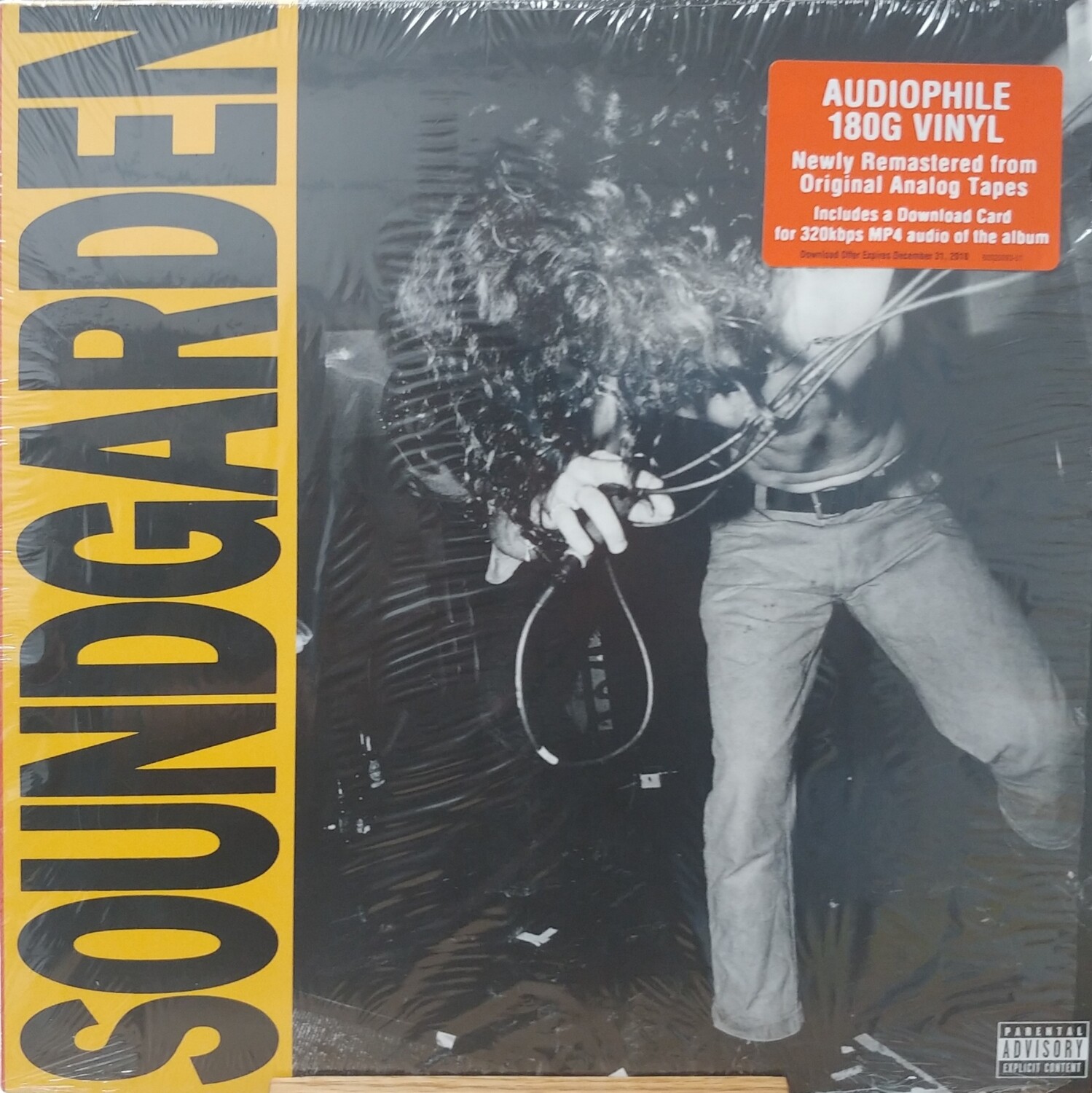 Soundgarden - Louder than love (2016)