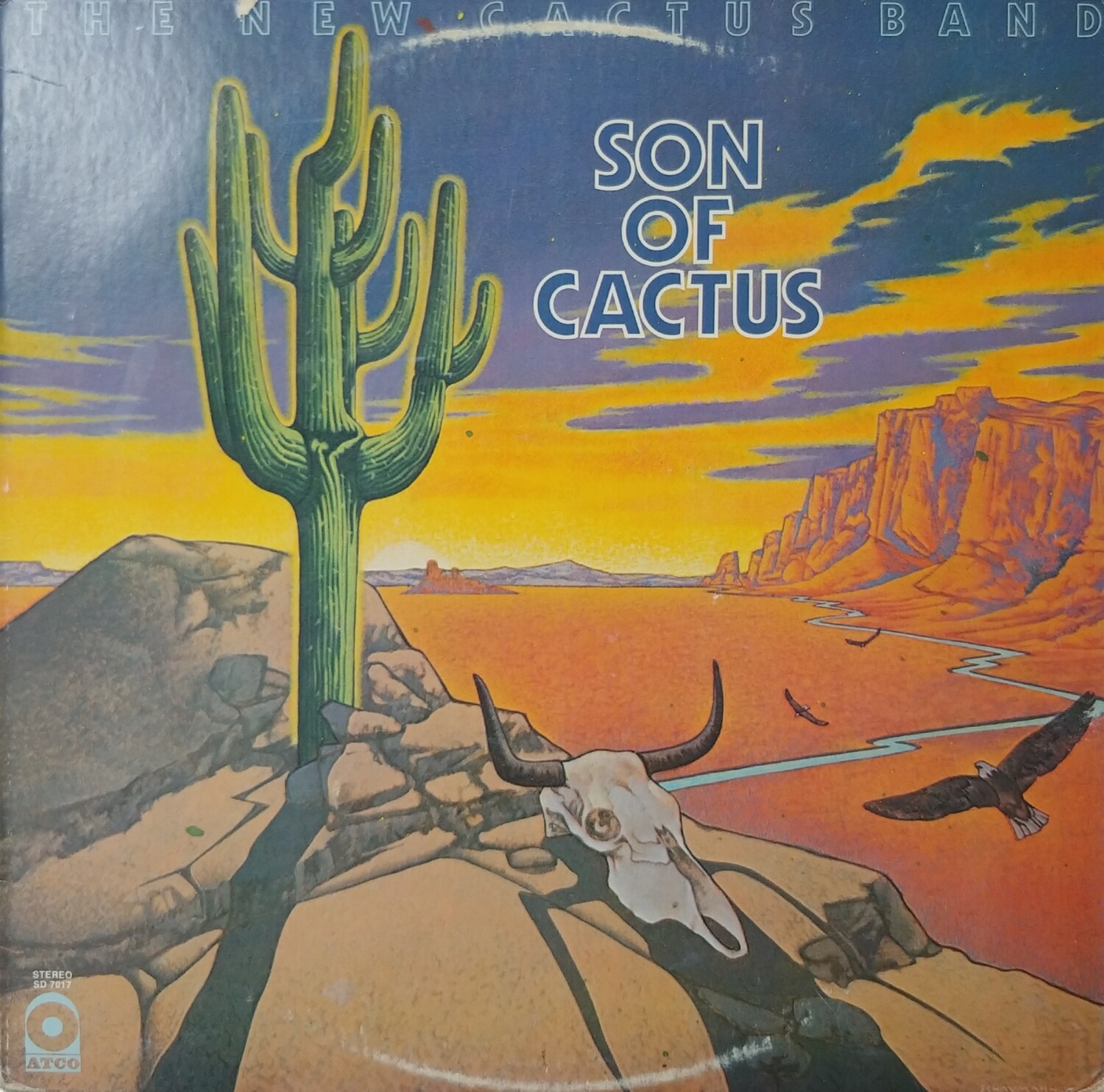 The New Cactus Band - Son of Cactus