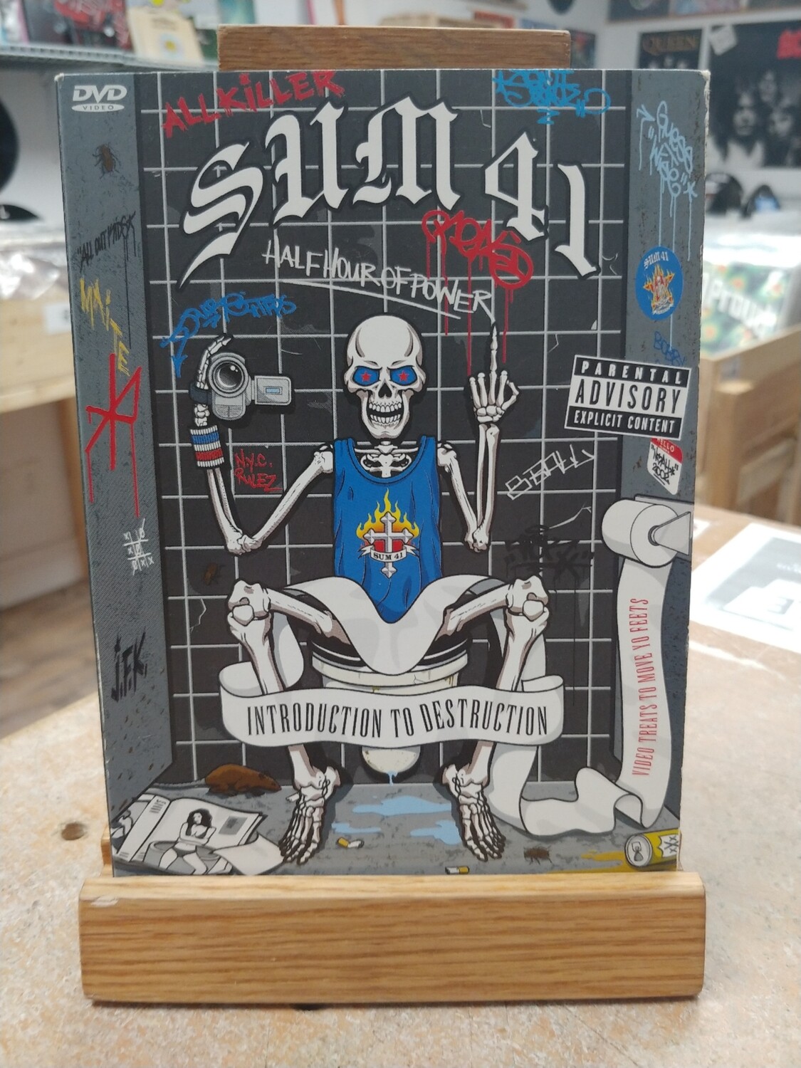 Sum 41 - Introduction to destruction (DVD)