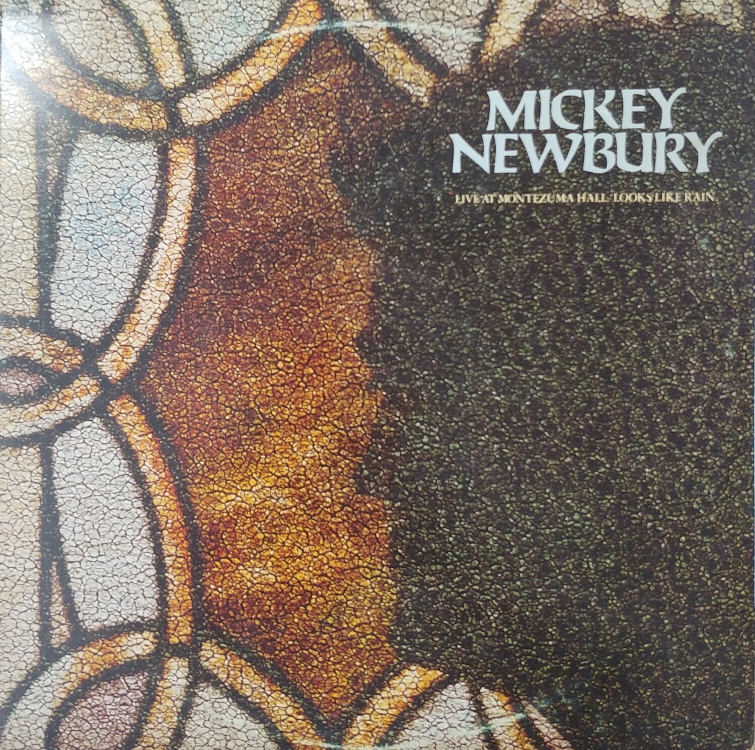 Mickey Newbury - Live at Montezuma Hall / Looks like rain
