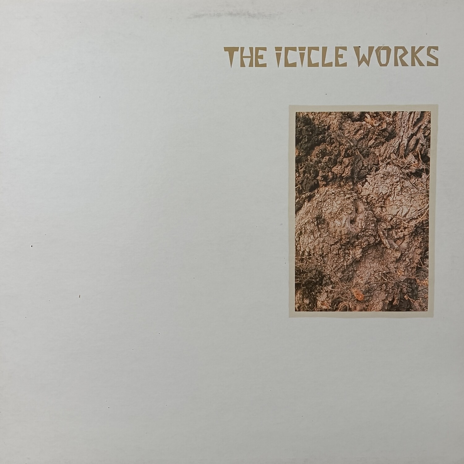 THE ICICLE WORKS - The Icicle Works