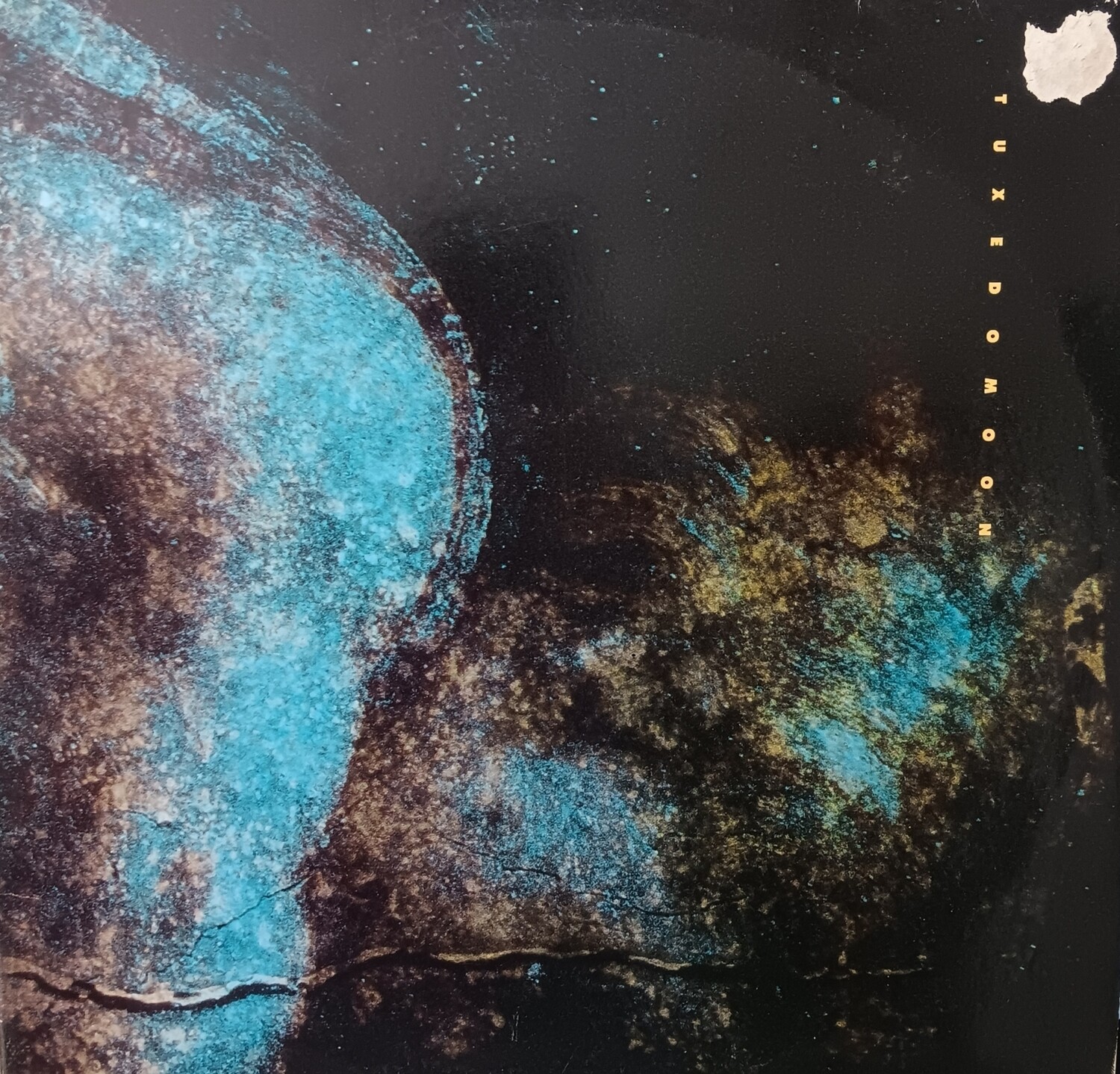 TUXEDOMOON - Pinheads on the move