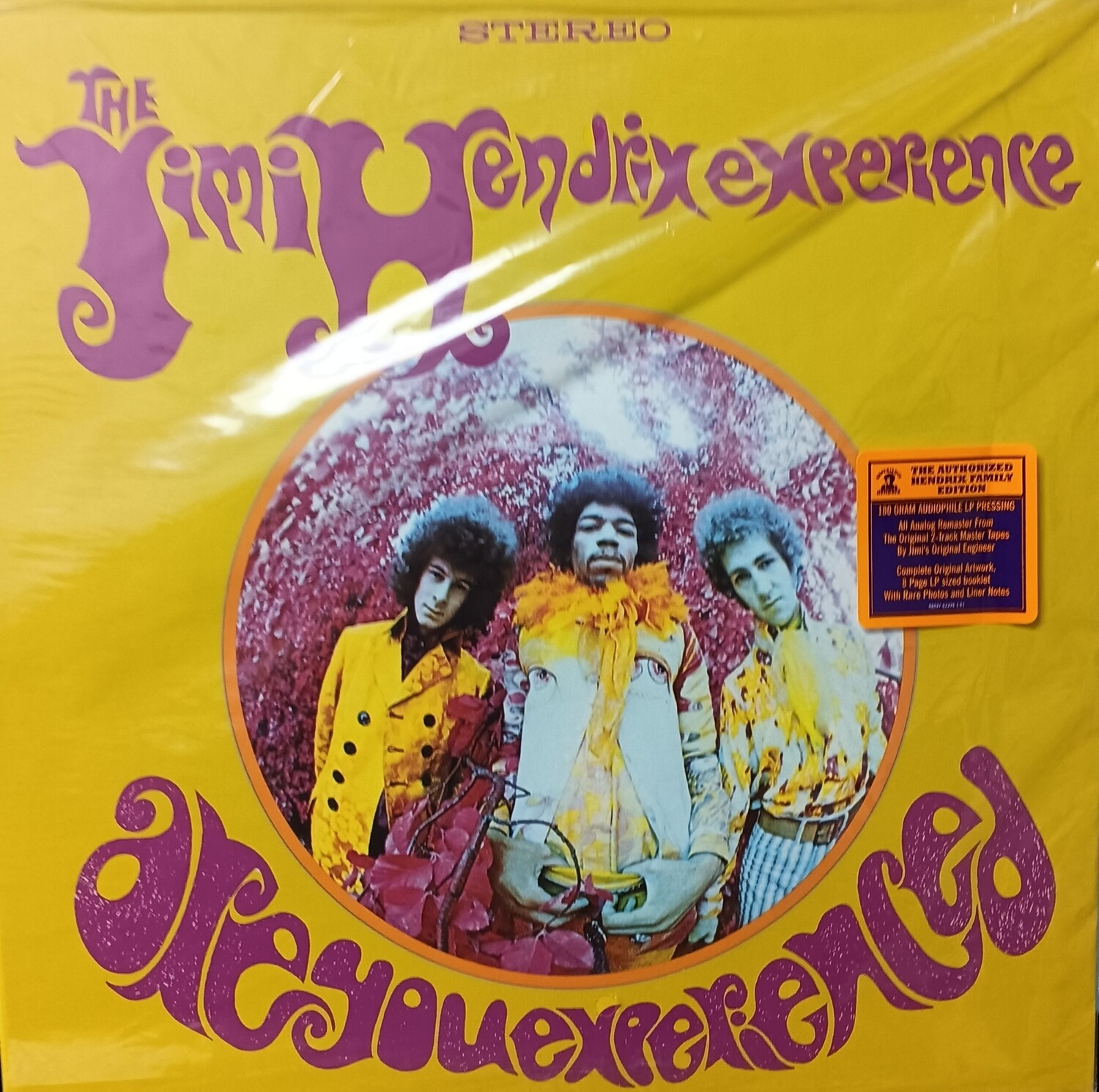 JIMI HENDRIX EXPERIENCE - Are you experienced