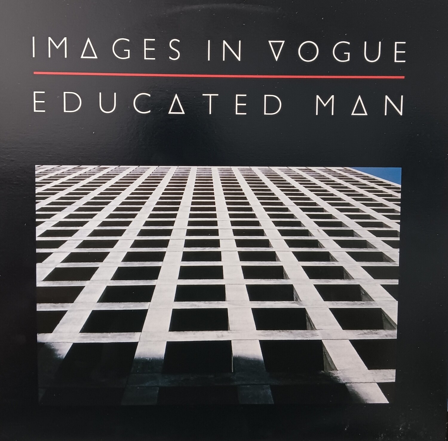 IMAGES IN VOGUE - Educated Man
