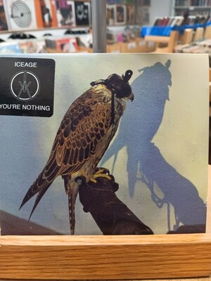 ICEAGE - You're nothing Promo (CD)