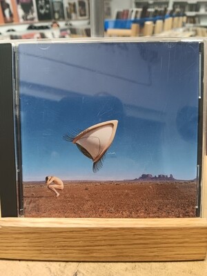 CRANBERRIES - Bury the Hatchet (CD)