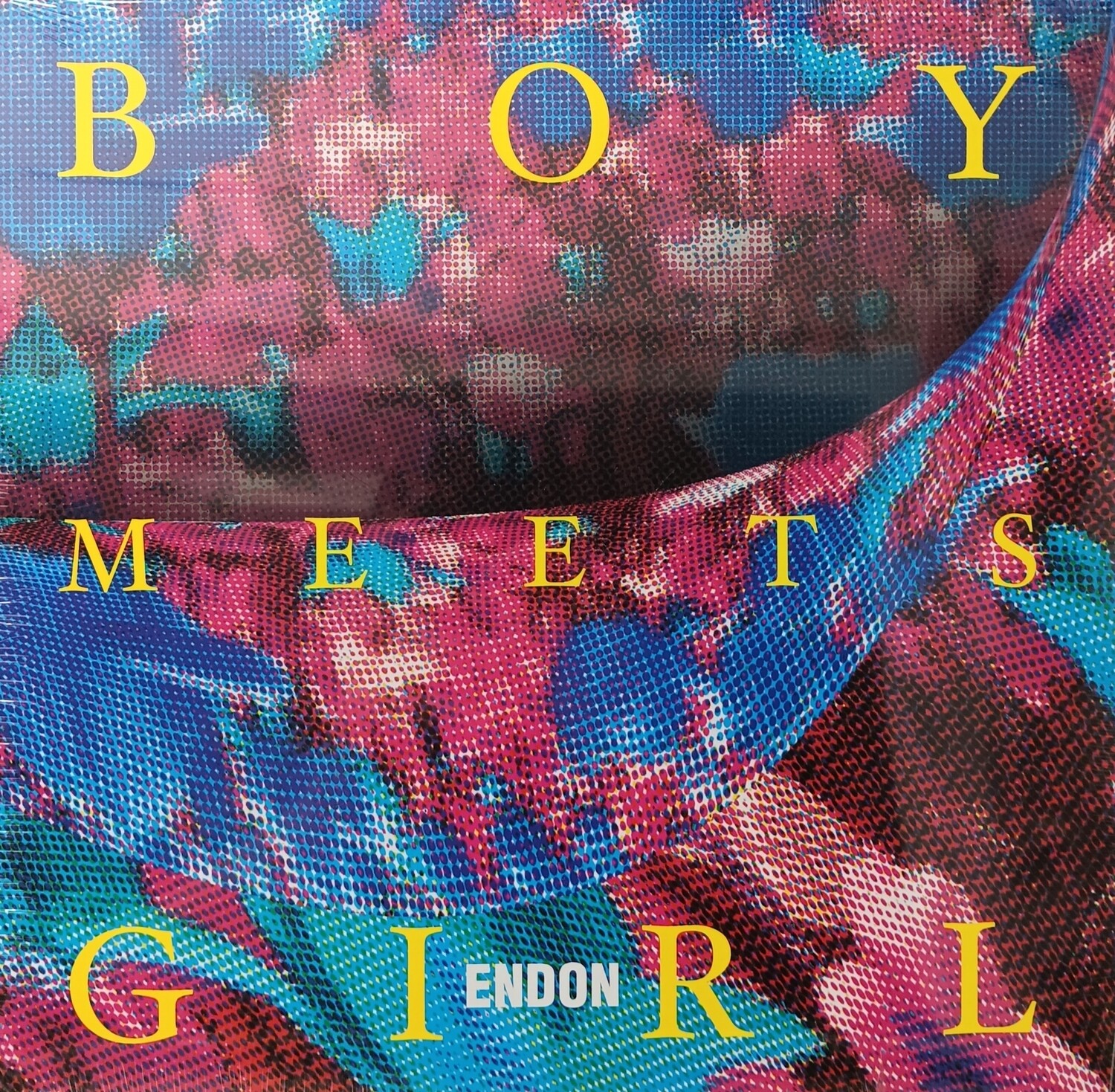 ENDON - Boy meets girl (NEUF)