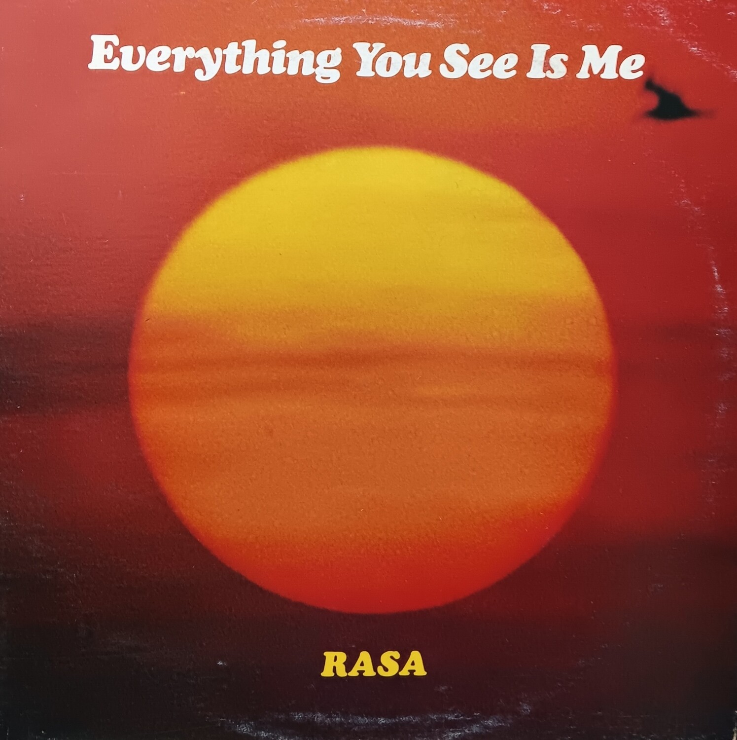 RASA - Everything you see in me