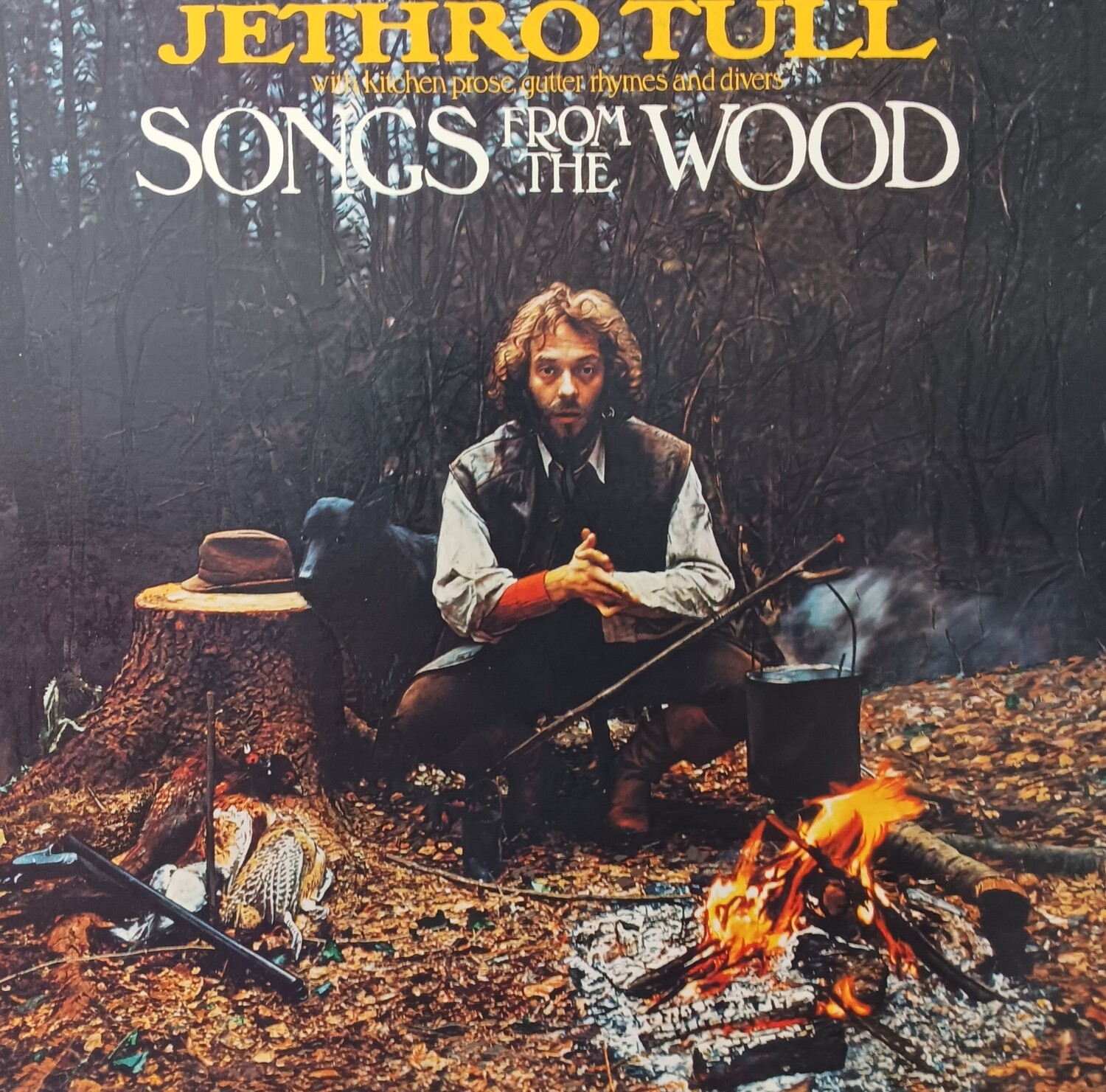 JETHRO TULL - Songs from the wood