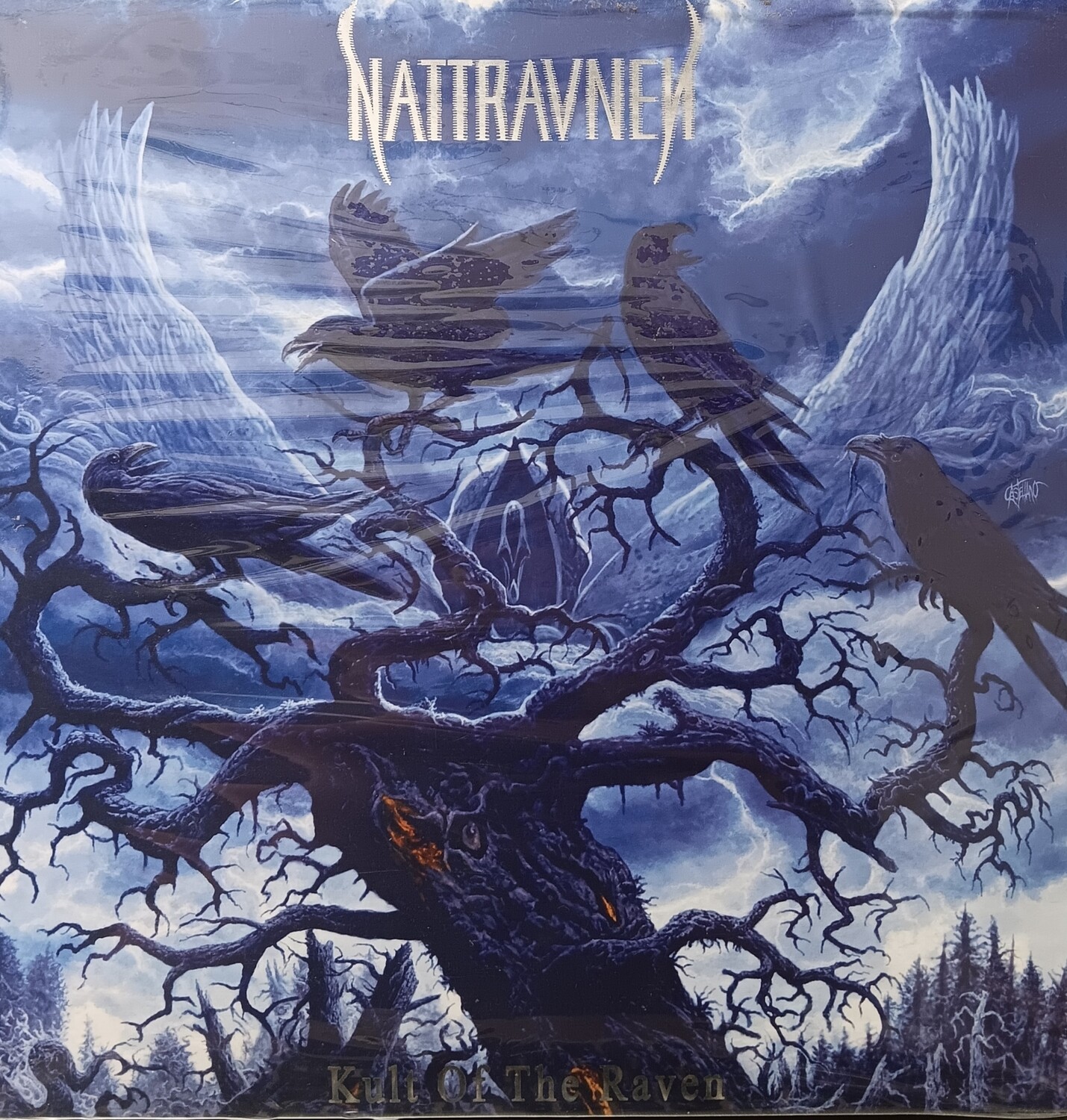 NATTRAVNEN - Kult of the raven (BOXSET LP)