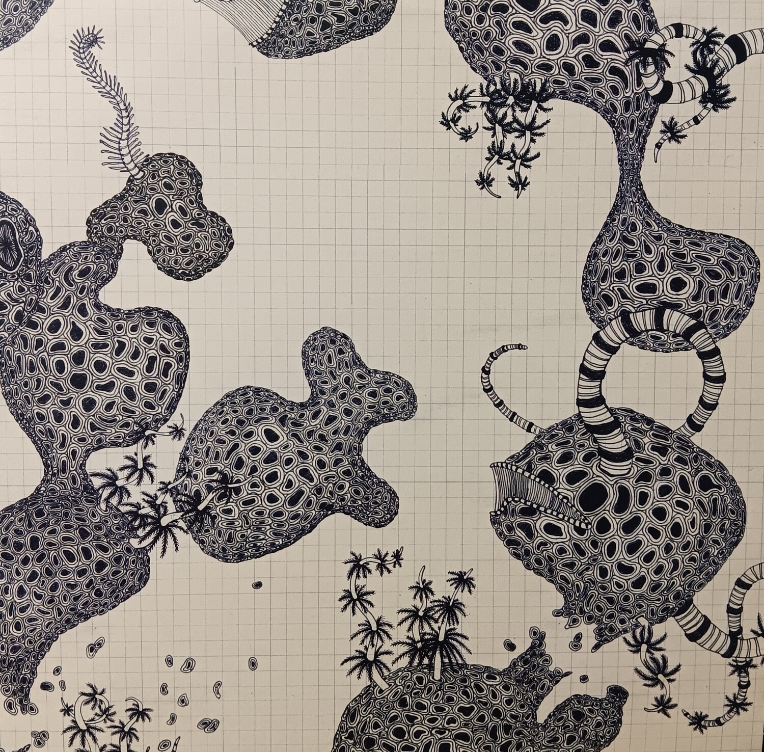 THE SHINS - Wincing the night away