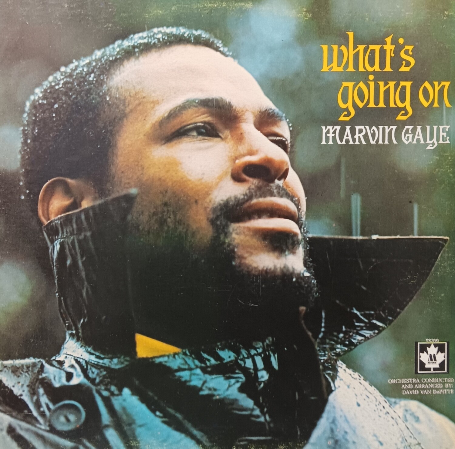 MARVIN GAYE - What&#39;s going on