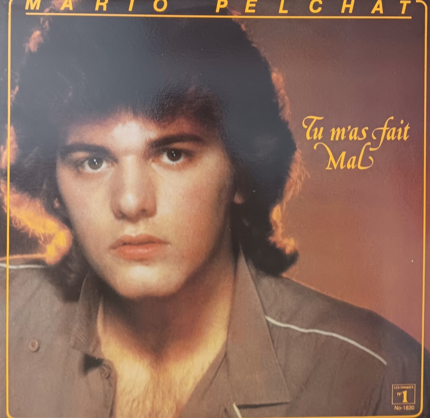 MARIO PELCHAT - Tu m&#39;as fait mal