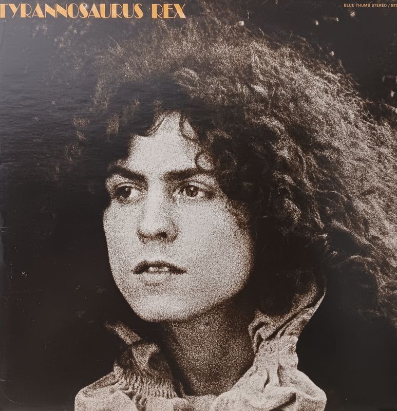 T.REX - A beard of stars