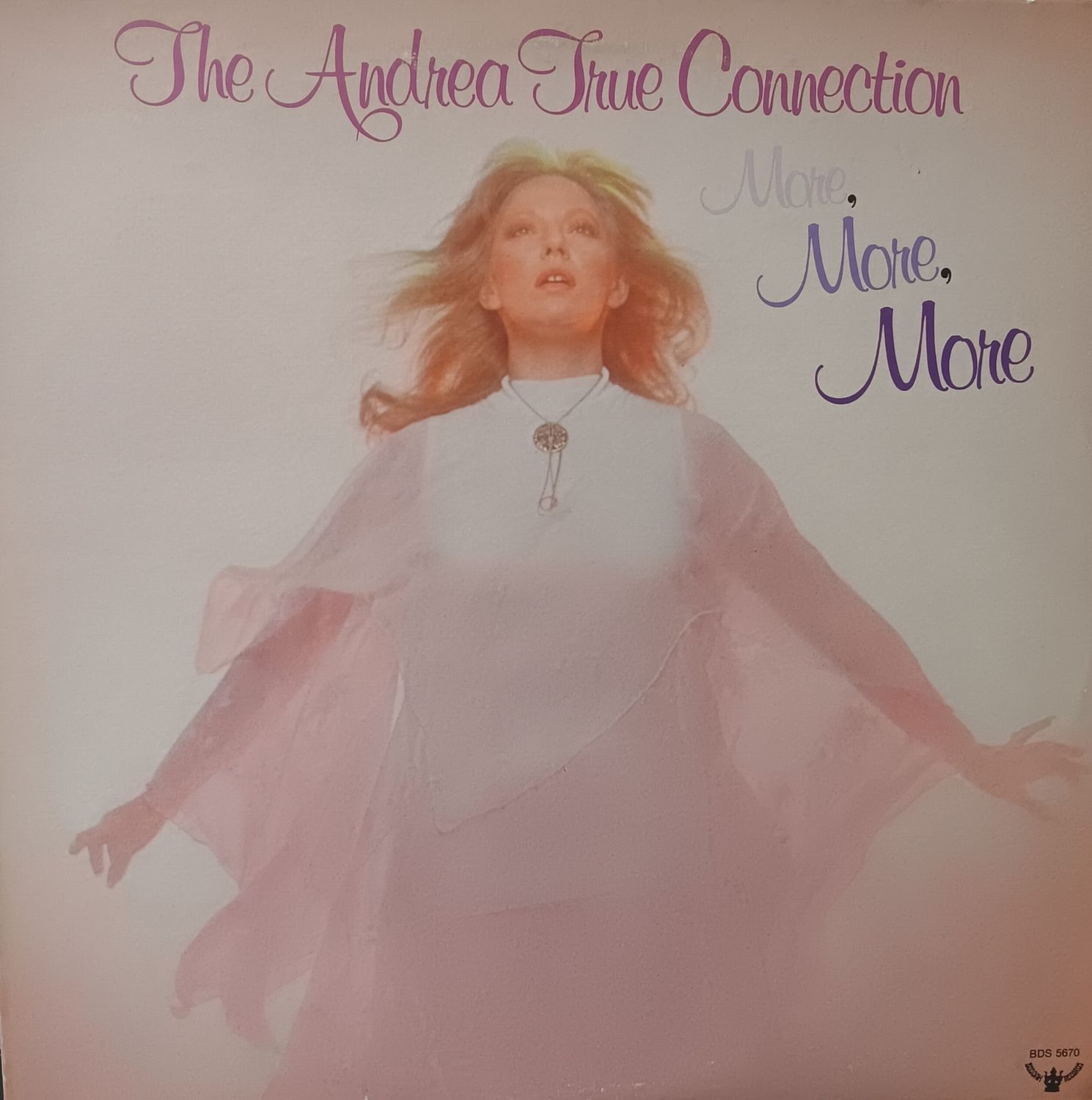 THE ANDREA TRUE CONNECTION - More More More