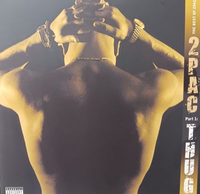 2 PAC - The Best of 2PAC part 1: Thug (GOLD)