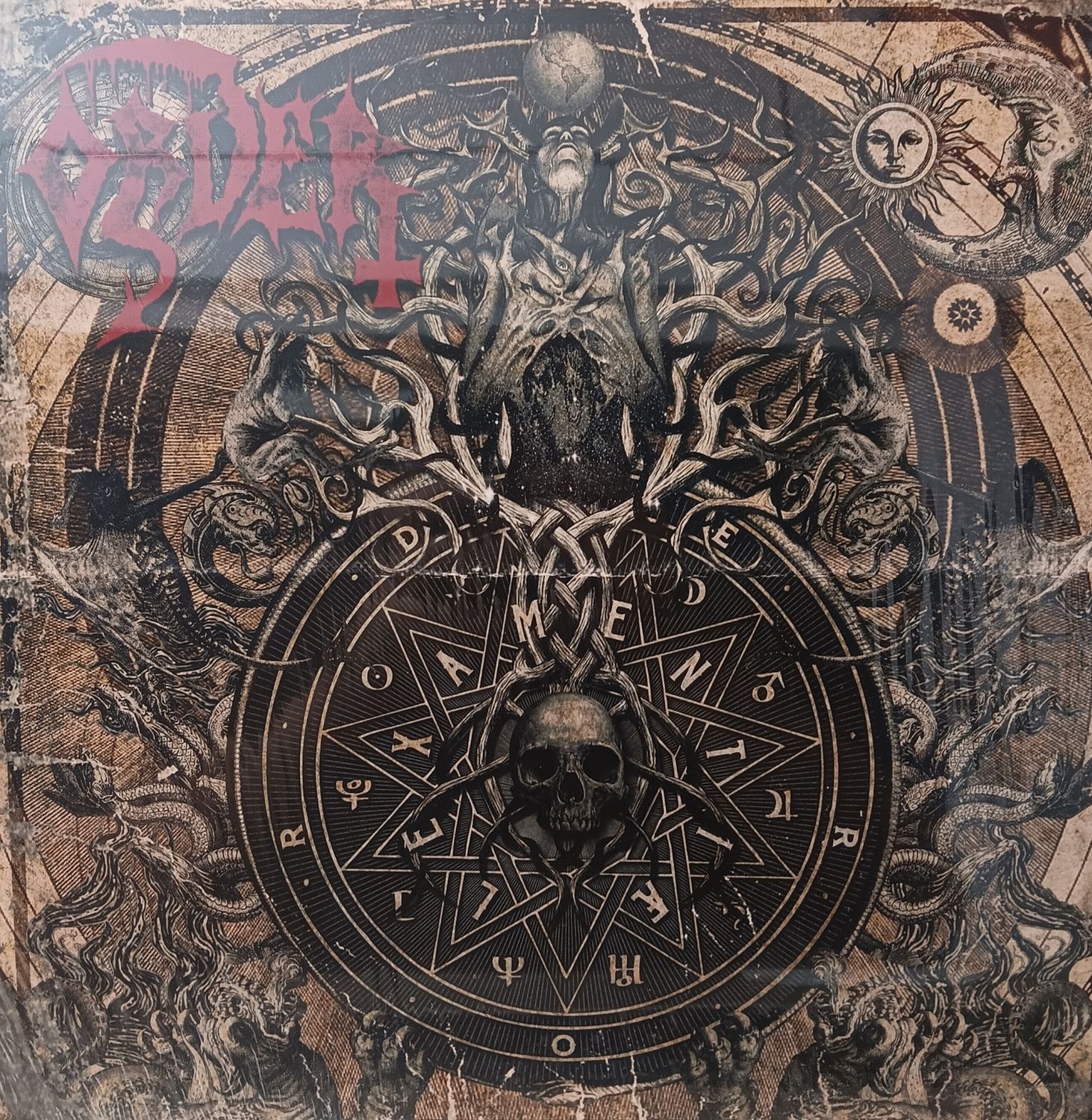 ORDER - Lex Amentiae