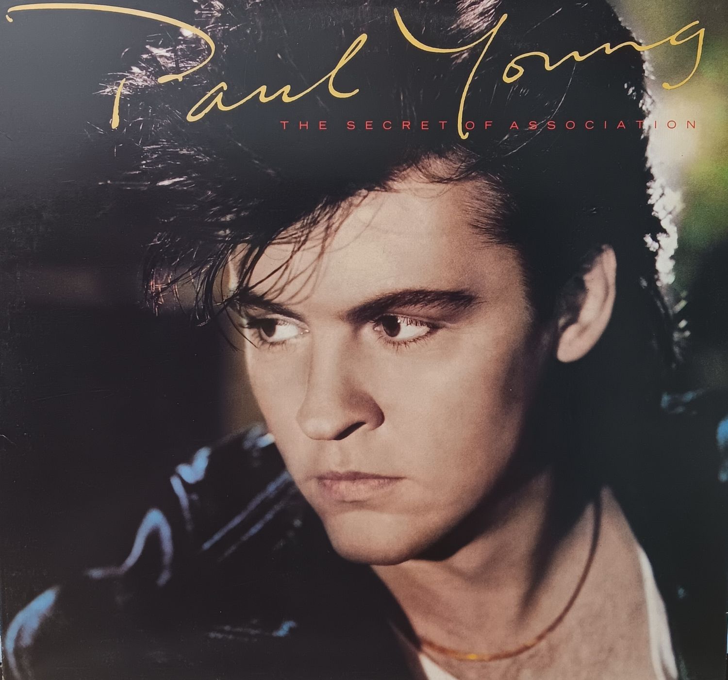 PAUL YOUNG - The secret of association