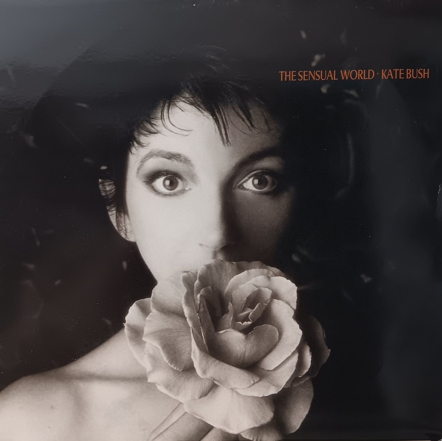 KATE BUSH - The sensual world