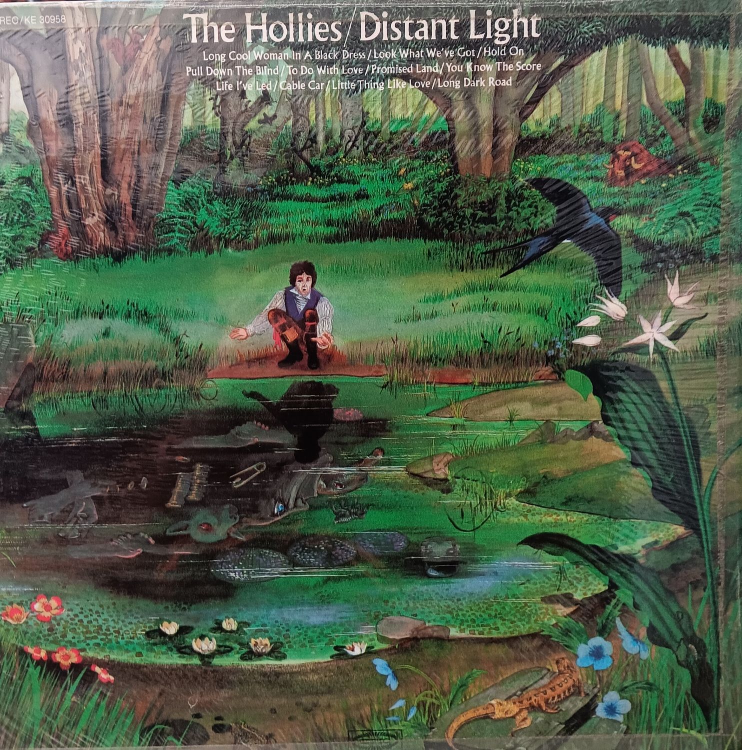 THE HOLLIES - Distant light
