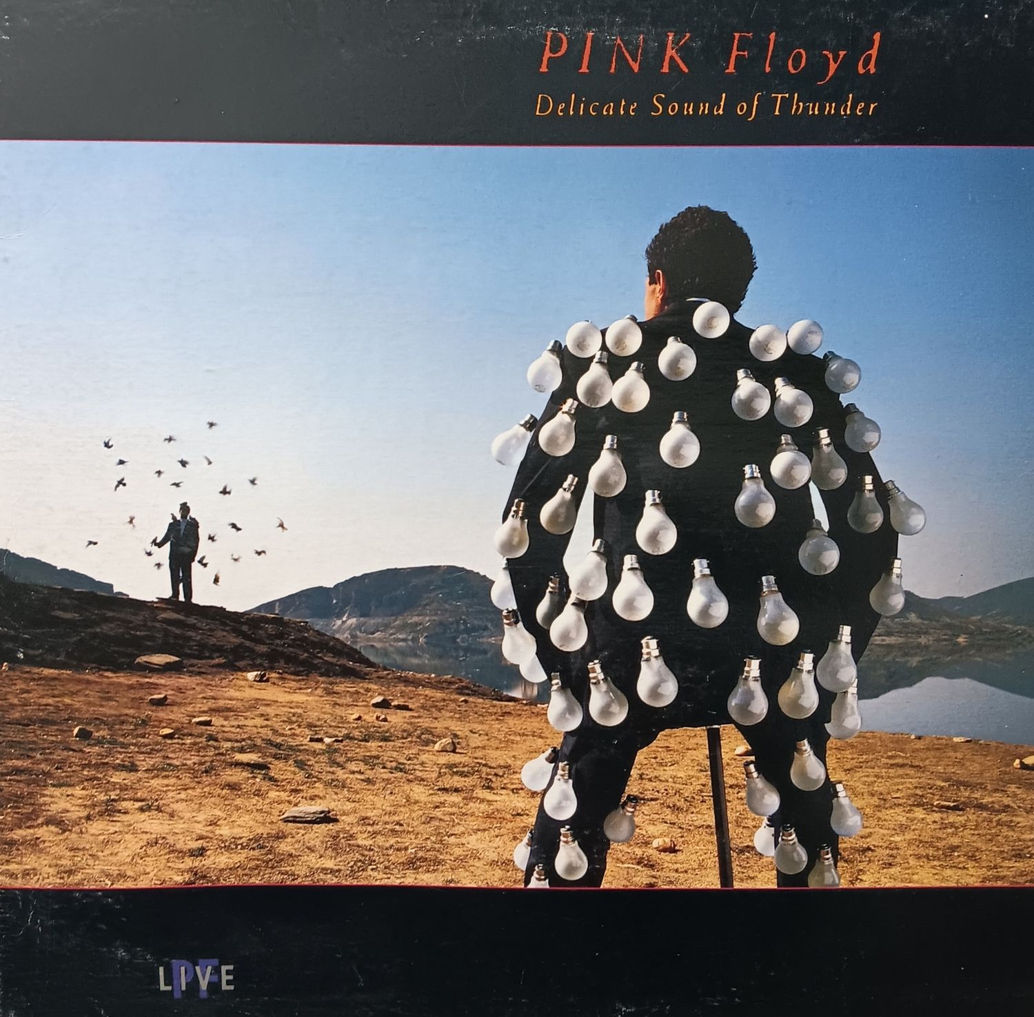PINK FLOYD - Delicate sound of thunder