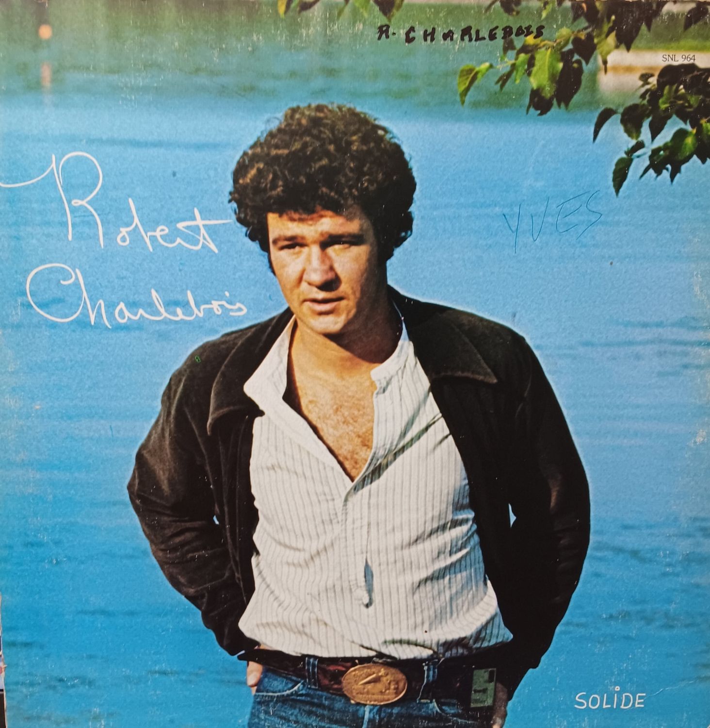 ROBERT CHARLEBOIS - Solide