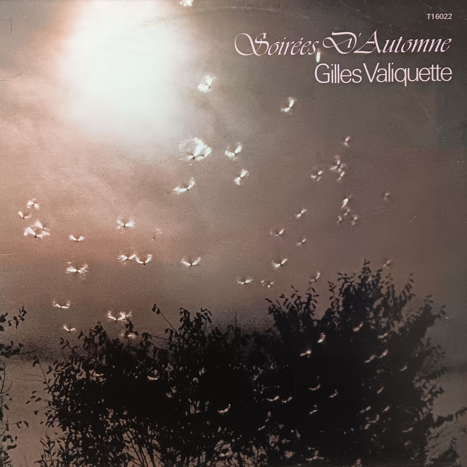 GILLES VALIQUETTE - Soirée d&#39;automne