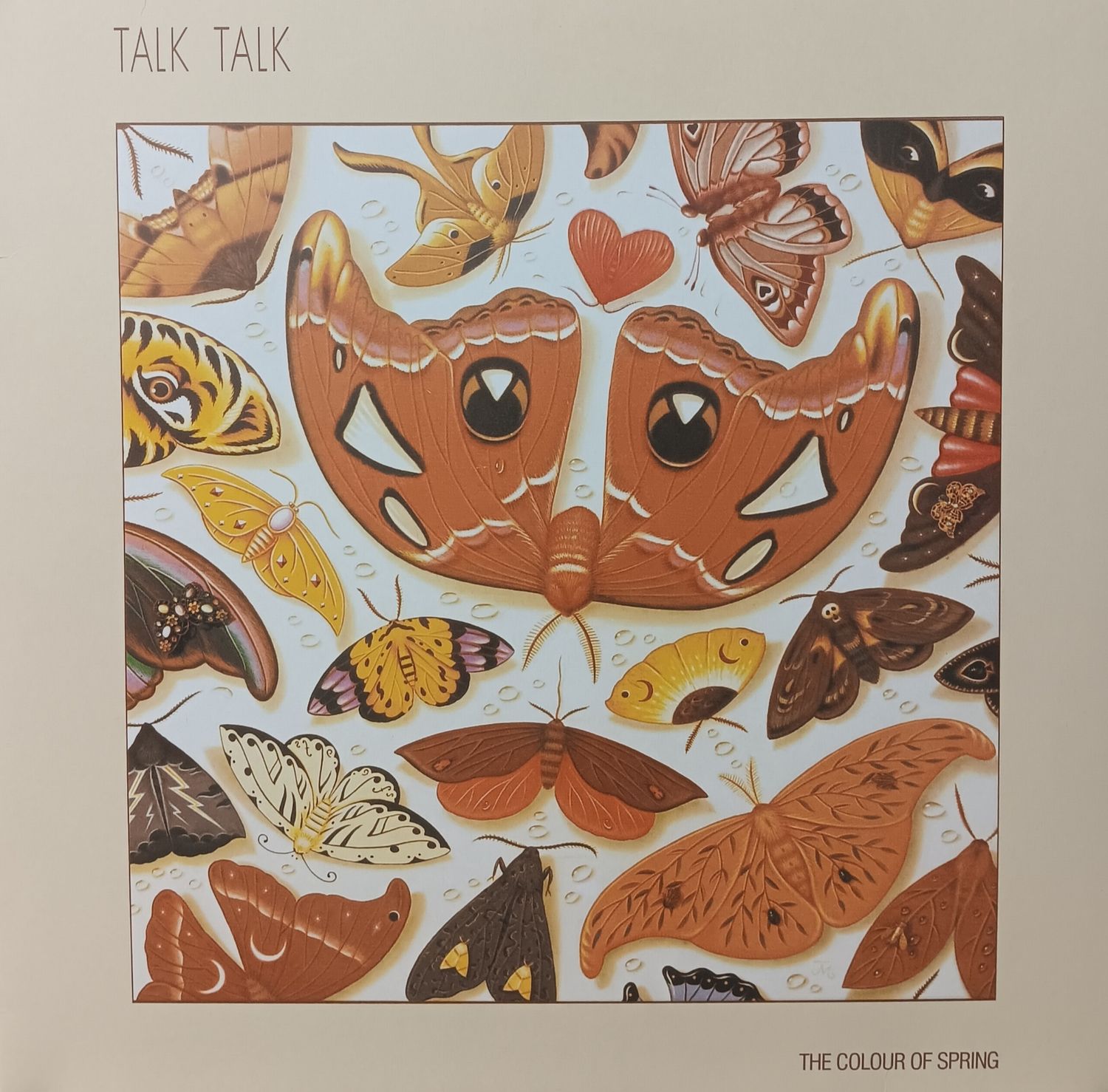 TALK TALK - The colour of spring